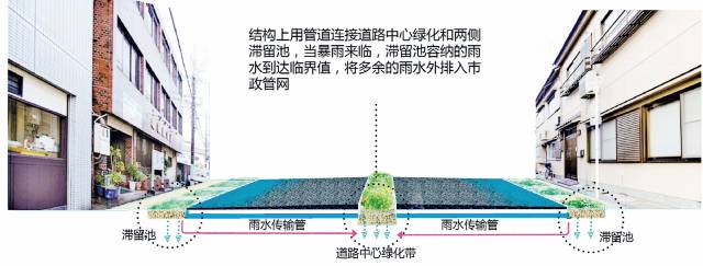 24種海綿城市設(shè)計措施全圖解_17